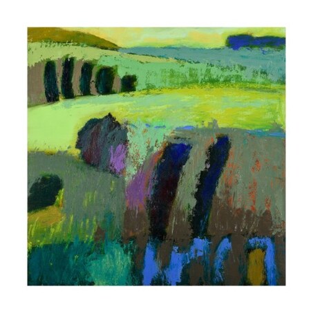 Trademark Fine Art Jane Schmidt 'From What I Thought' Canvas Art, 35x35 IC02415-C3535GG